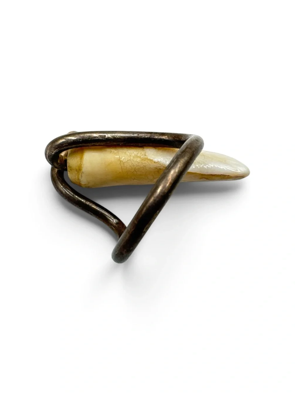 Sterling Silver 14K Gold Hyena Tooth Ring Taxidermy Oddities Statement Ring